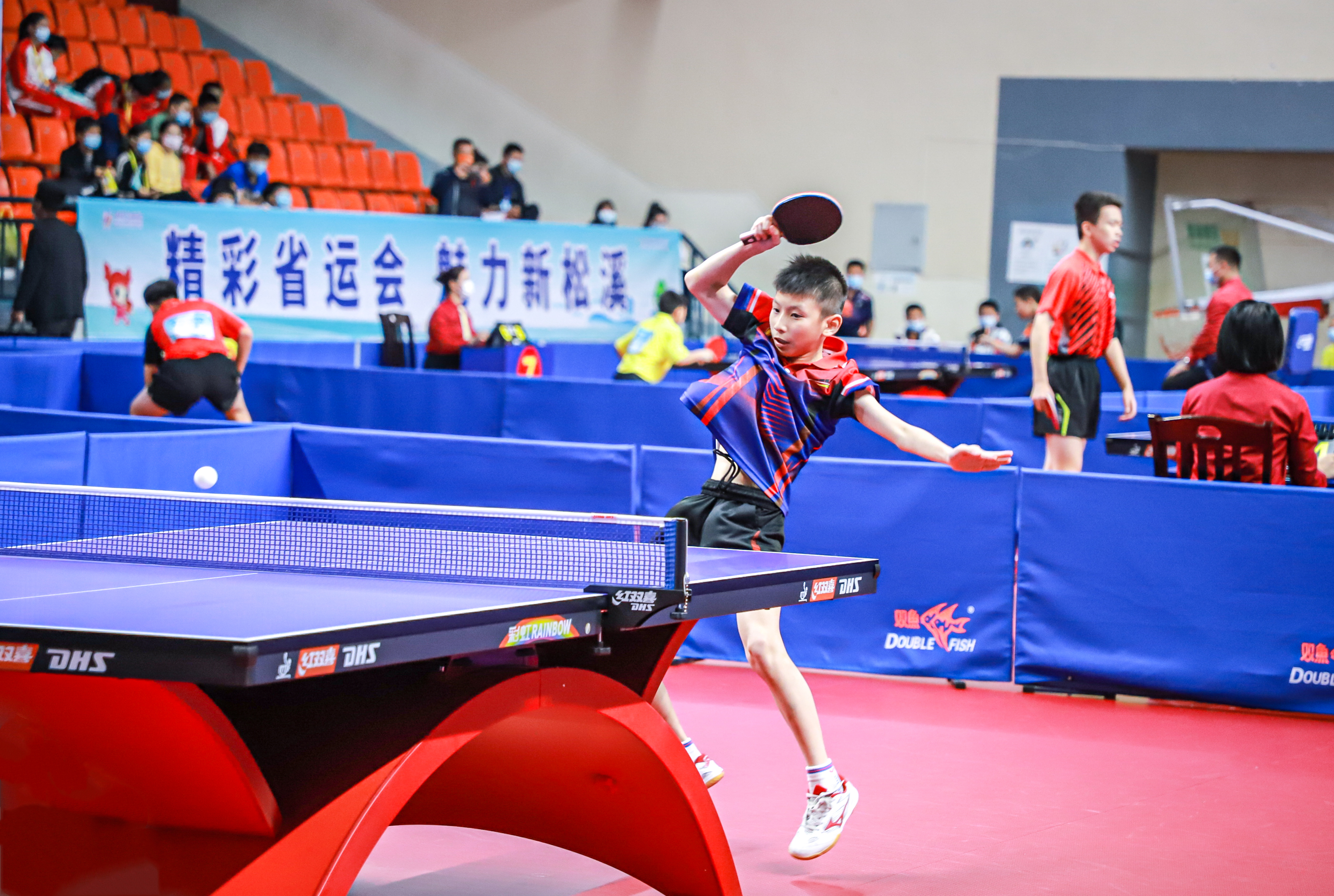 着顽强的意 着顽强的意