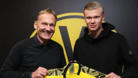 在这部作品 在这部作品